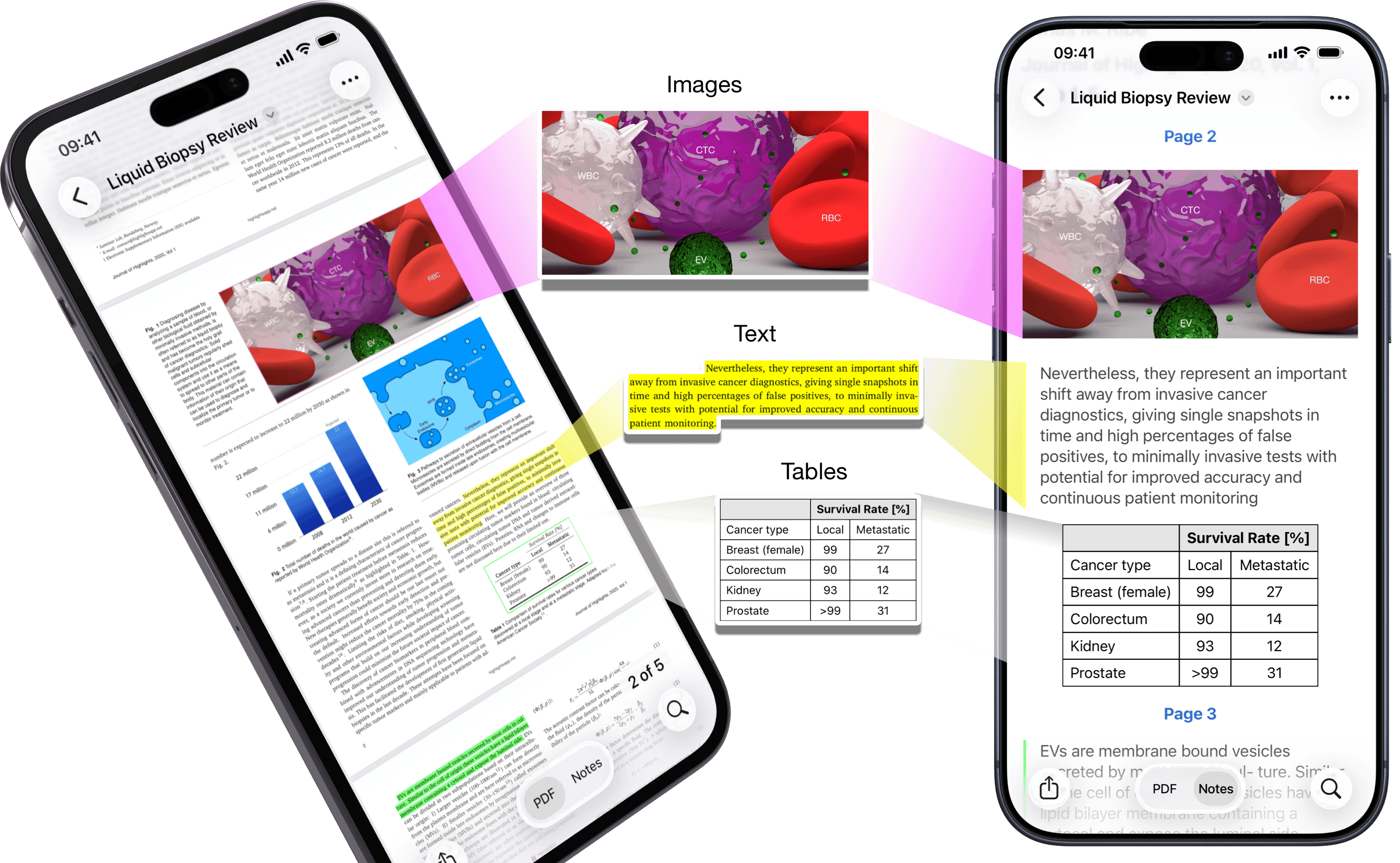 Two iPhones side-by-side running Highlights with annotations being beamed from PDF view to notes view